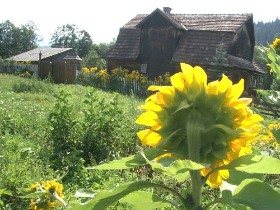 székelyföld, turista, vendég